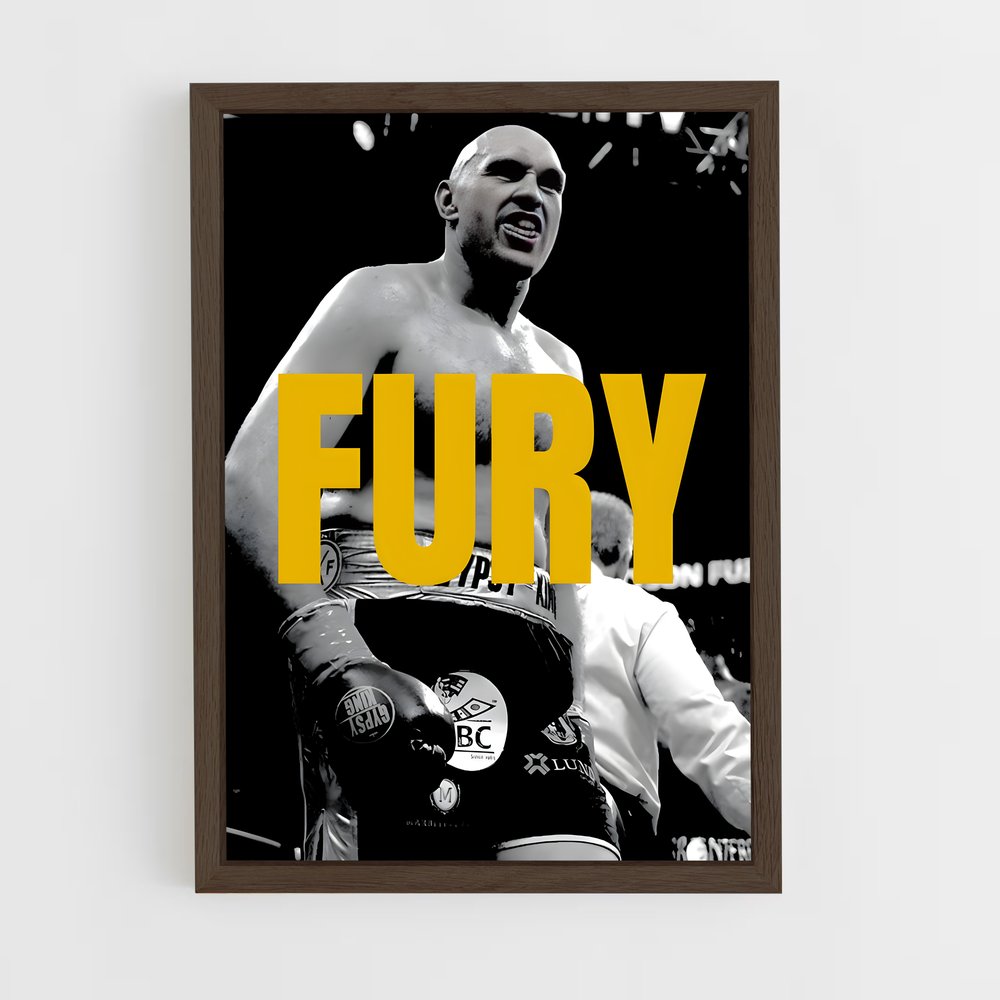 Poster Fury Unleashed (vue 5)